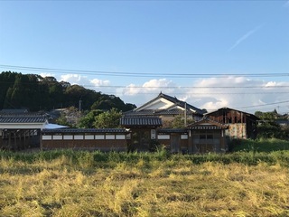 全景