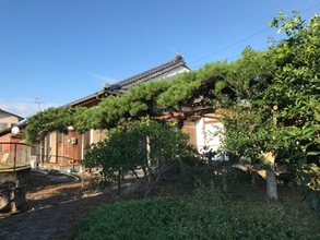 財部町南俣11239